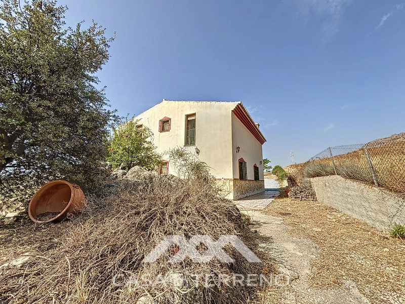 4 bedrooms House in Alcaucin, Spain No. 45145