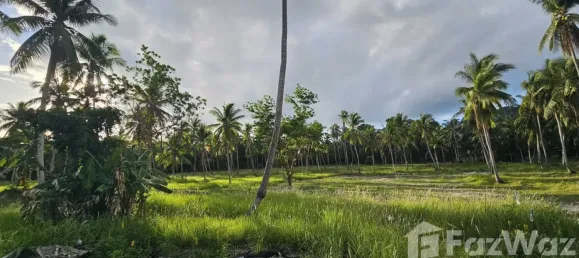 2 chambres Villa à Koh Pha Ngan, Thailand No. 58237 5