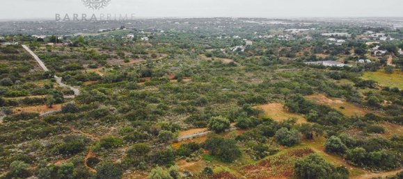 Земельный участок 28160м² в Фару, Португалия № 200728 2