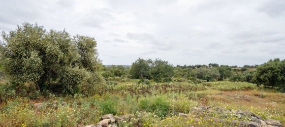 Земельный участок 28160м² в Фару, Португалия № 200728 7