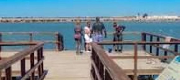 3 bedrooms House in San Pedro del Pinatar, Spain No. 163445 32