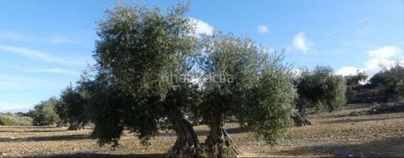 110000m² Land in Andalusia, Spain No. 228425