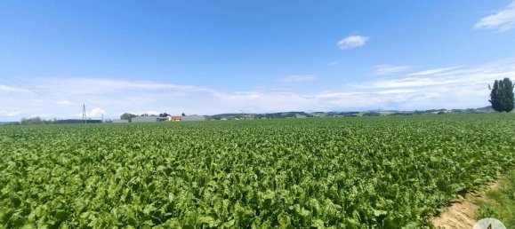 1000m² Land in Suben, Austria No. 165369 2