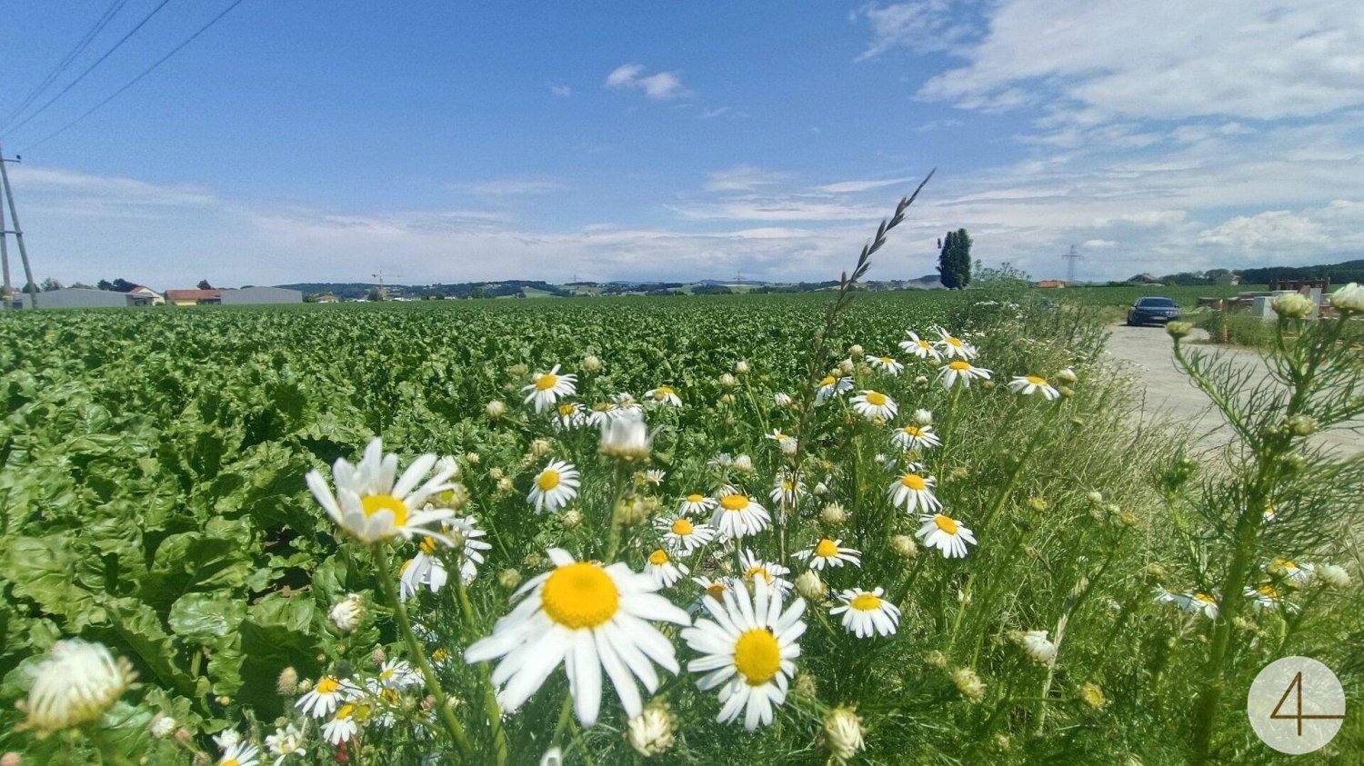 1000m² Land in Suben, Austria No. 165369