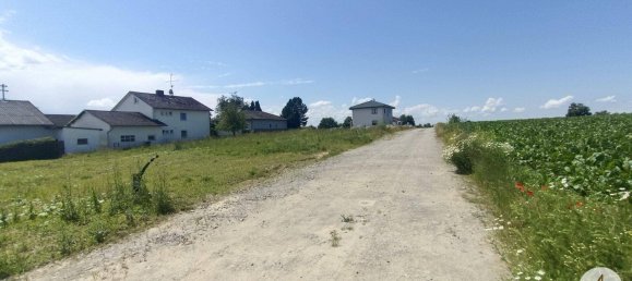1000m² Land in Suben, Austria No. 165369 6