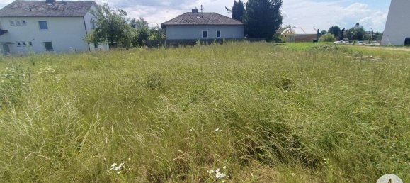 1000m² Land in Suben, Austria No. 165369 5