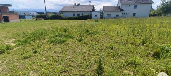 1000m² Land in Suben, Austria No. 165369 4