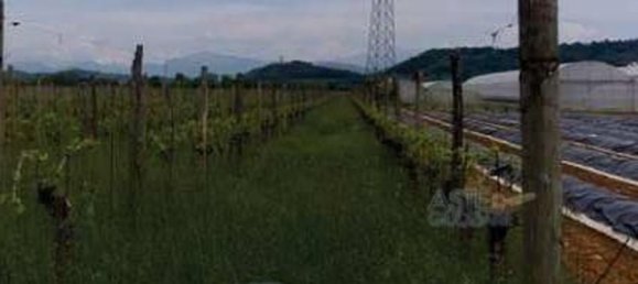 19055m² Land in Gorizia, Italy No. 19744 17