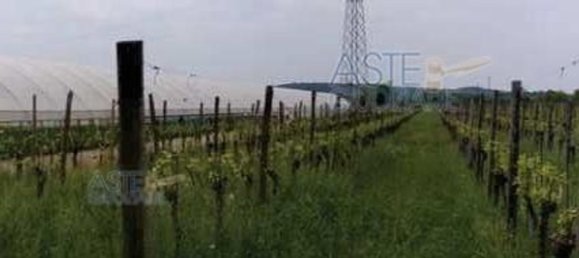 19055m² Land in Gorizia, Italy No. 19744 9