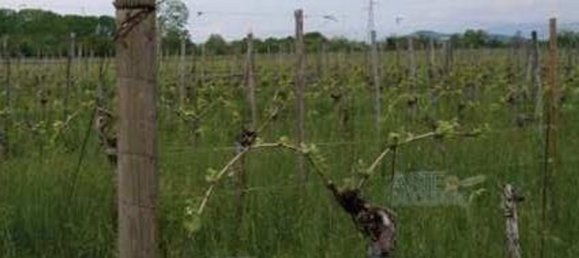 19055m² Land in Gorizia, Italy No. 19744 18