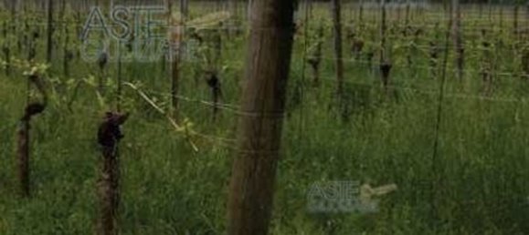 19055m² Land in Gorizia, Italy No. 19744 14