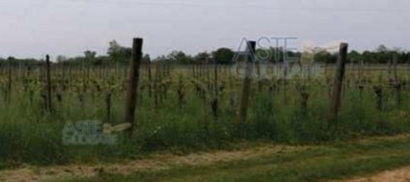 19055m² Land in Gorizia, Italy No. 19744 12