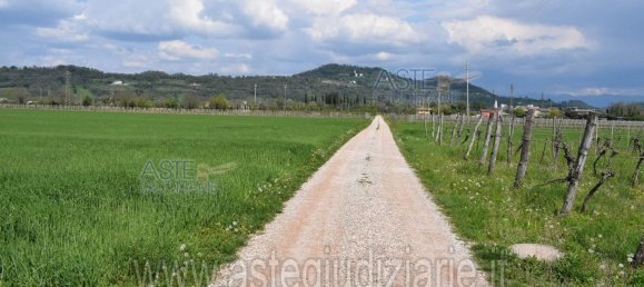19055m² Land in Gorizia, Italy No. 19744 6