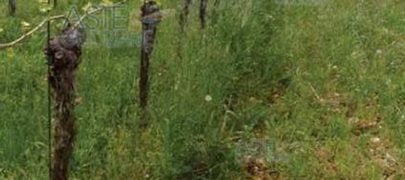 19055m² Land in Gorizia, Italy No. 19744 10