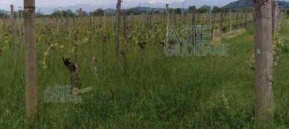 19055m² Land in Gorizia, Italy No. 19744 16