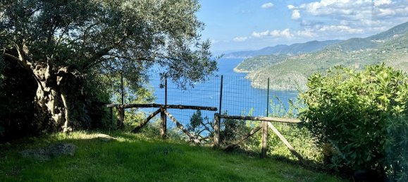 3 bedrooms Villa in Levanto, Italy No. 31677 4