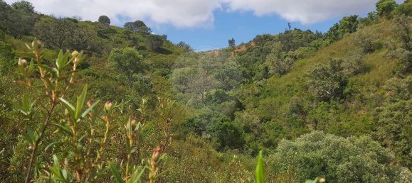 2 bedrooms House in Santana da Serra, Portugal No. 50174 8