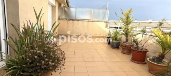 4 غرف نوم بانتهاوس في Terrassa, Spain رقم 155610 30