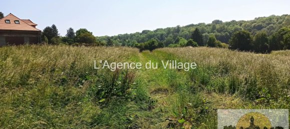 608m² Land in Saint-Crepin-Ibouvillers, France No. 93985 3