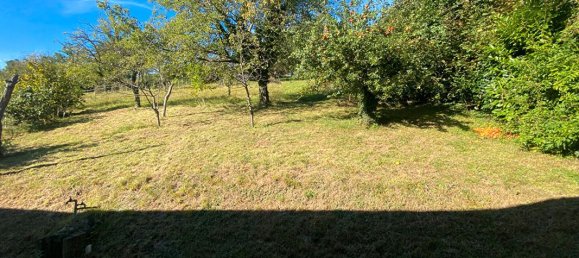 5 Schlafzimmer Haus in Lautenbach, France, Nr. 234994 6