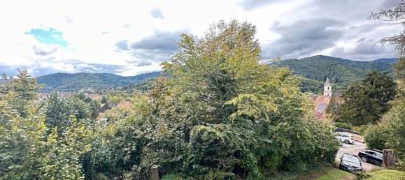 5 Schlafzimmer Haus in Lautenbach, France, Nr. 234994 2