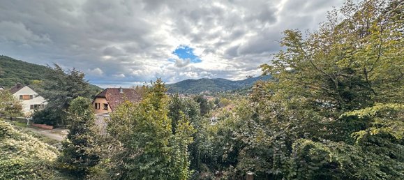 5 Schlafzimmer Haus in Lautenbach, France, Nr. 234994 7