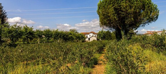 Grundstück in Felgueiras, Portugal, Nr. 139624 47