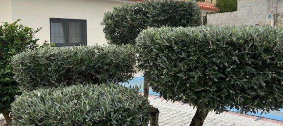 3 chambres Villa à Vila Real, Portugal No. 127230 2