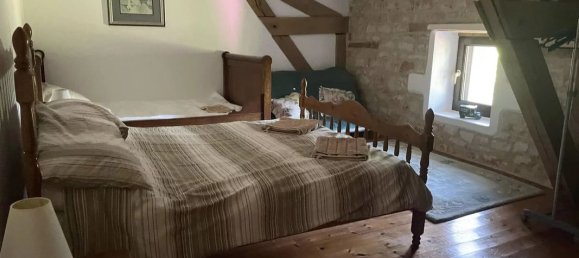 5 bedrooms Castles in Vienne, France No. 342336 12