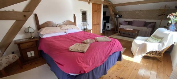 5 bedrooms Castles in Vienne, France No. 342336 7