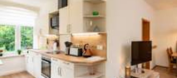 Коммерческая недвижимость с 8 комнатами в Эрфурт, Германия № 208971 18