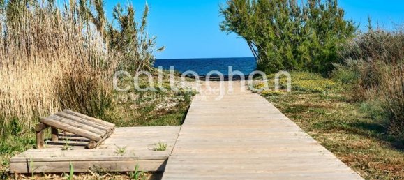 2 غرف نوم بانتهاوس في Marina d'Or, Spain رقم 170459 17