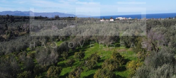 3 Schlafzimmer Villa in Crete, Greece, Nr. 8972 5