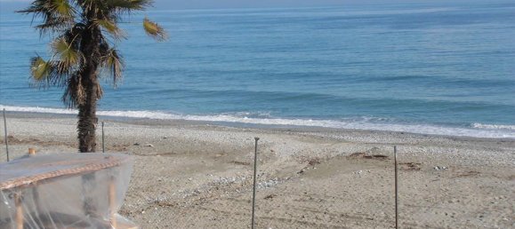 11000m² Property in Dion, Greece No. 8018 5