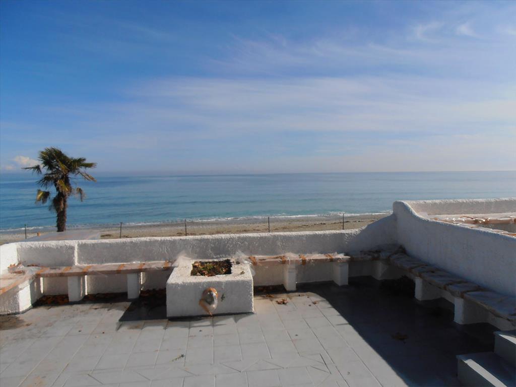 11000m² Property in Dion, Greece No. 8018