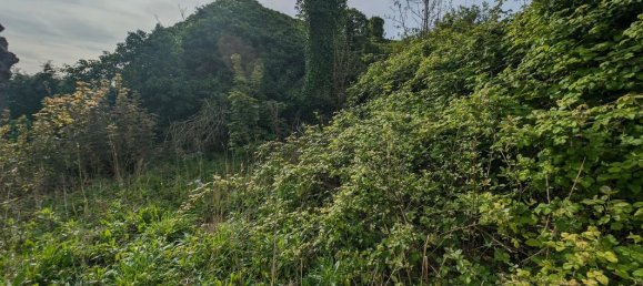 1311m² Land in Saint-Folquin, France No. 74878 12