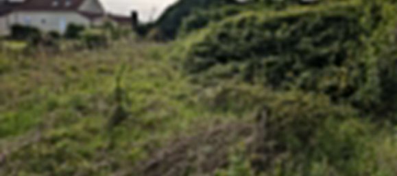 1311m² Land in Saint-Folquin, France No. 74878 6