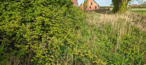 1311m² Land in Saint-Folquin, France No. 74878 4