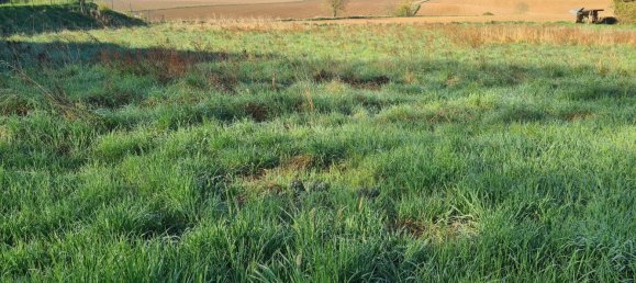 Terreno em Fischlham, Austria 2011 m² N.º 211011 11