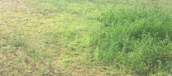 4 chambres Maison à Ain, France No. 298180 6