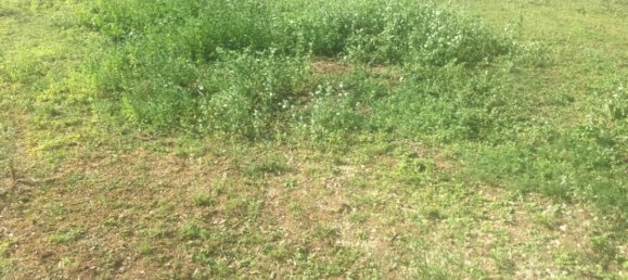 4 chambres Maison à Ain, France No. 298180 5