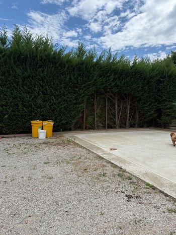 3 rooms Villa in Villa del Conte, Italy No. 304382