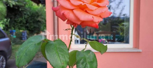 Villa T2 em Sutri, Italy N.º 181577 3