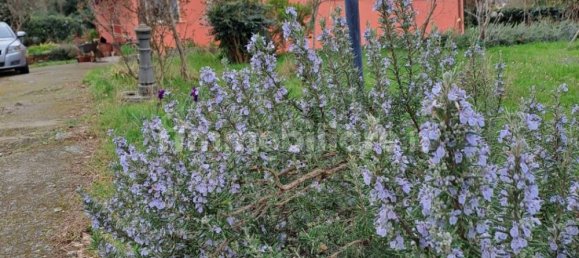 Villa T2 em Sutri, Italy N.º 181577 8