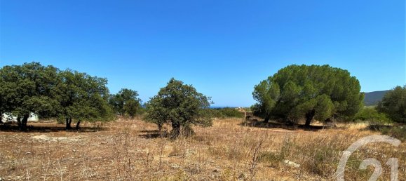 Terreno en Belgodere, France No. 155278 6