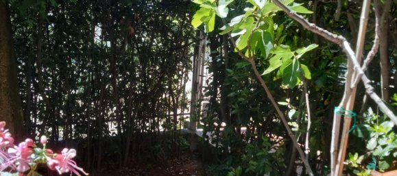 3 rooms Apartment in Massa, Italy No. 254589 24