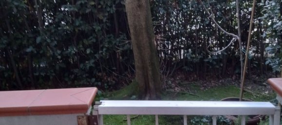 3 rooms Apartment in Massa, Italy No. 254589 22