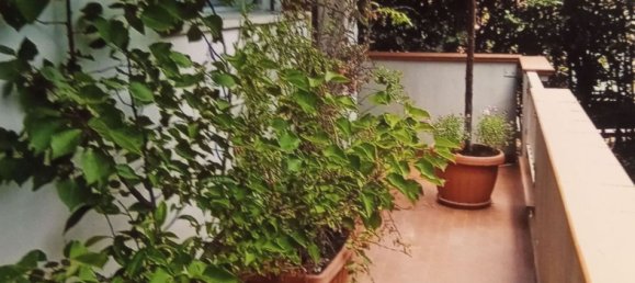 3 rooms Apartment in Massa, Italy No. 254589 7