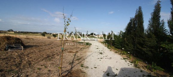 Quinta T3 em Birzebbuga, Malta N.º 6362 16