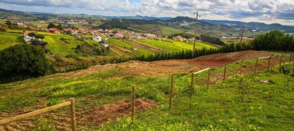 Villa de 4 dormitorios en Torres Vedras, Portugal No. 107346 18